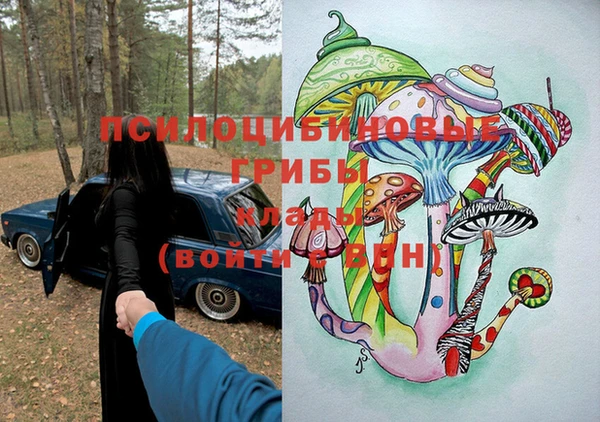 героин Богородицк